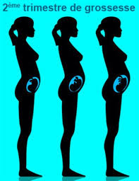 Quels sont les premiers signes d'une grossesse? Grossesse 19eme Semaine D Amenorrhee Symptomes Traitement Definition Docteurclic Com