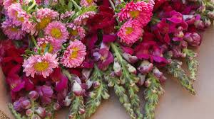 Check spelling or type a new query. Sustainable Valentine S Day Flowers Your Online Options Are Blooming Los Angeles Times