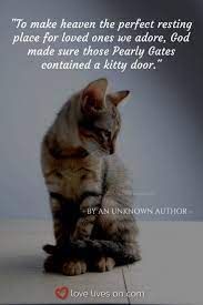 50 Beautiful Loss Of Pet Quotes Pet Quotes Cat Pet Grief Losing A Pet