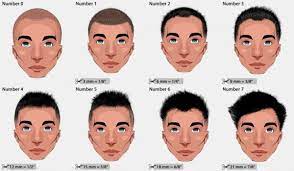 Pin On Hairstyles Theme