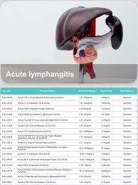 Elisa Kits For Acute Lymphangitis Research Lymphangitis Is An Inflammation Or An Infection Of The Lymphatic Chan Lymphatic Streptococcus Pyogenes Inflammation