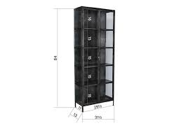 84 Tall Salinas Iron Glass Cabinet