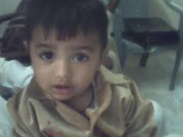 Faiz Faiz Muhammad Mughal