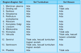 Setiap makhluk hidup memiliki sel, seperti tumbuhan dan hewan. 22 Sel Hewan Dan Sel Tumbuhan Memiliki Perbedaan Sebab Sel Hewan Tidak Memiliki Brainly