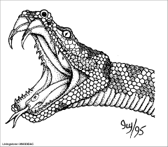 Read national geographic's latest stories about animals. Cobra Head Coloring Page Coloringbay