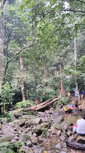 Pejaat hutan daerah selangor tengah, cheras. Gunung Nuang When The Kids Are United They Will Never Will Divided