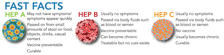 There is also a difference between acute and chronic viral hepatitis. Hepatitis Prevention And Treatment Chase Brexton Health Care