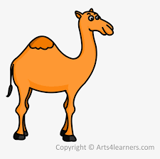 How to draw a camel. Drawn Camel Drawing Easy Draw Camel Free Transparent Png Download Pngkey