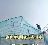 Large Tropical Agricultural Sawtooth Tunnel Greenhouse Hot Galvanized Steel  PE Materials Plastic Film Cover Customizable Size
