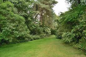 Jardin De Bellevue Perspective Photo De Le Jardin De Bellevue Beaumont Le Hareng Tripadvisor