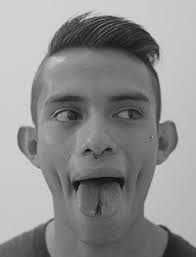 METAMORFOSIS DEL CUERPO