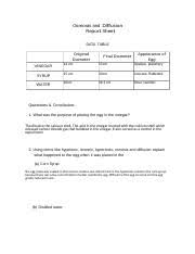 Download & view egg osmosis lab report as pdf for free. Osmosis In The Egg Lab Report 1 Osmosis And Diffusion Report Sheet Data Table Original Final Diameter Appearance Of Diameter 14 Cm 15cm Egg Opaque Course Hero