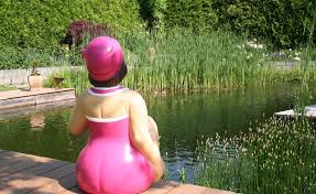 Was kostet ein wasserzähler für den garten? Wie Viel Kostet Ein Schwimmteich 5 Typen Von Schwimmteichen Mit Preis