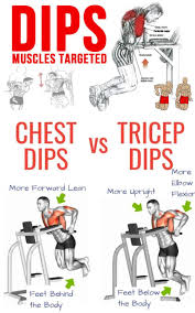 Pin On Biceps Triceps