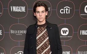 Eager to mark the dad on social media his son paris posted a series of photos alongside his dad, with the pair decked out in matching tracksuits. Who Are Pierce Brosnan S Sons Paris Sean Dylan And Christopher