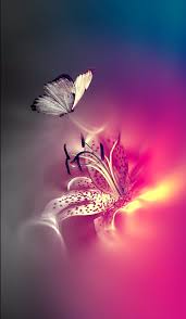 Reckless Love Butterfly Wallpaper Nature Iphone Wallpaper Butterfly Wallpaper Iphone