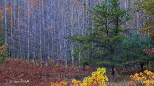 If you have a conventional mortgage, typically, there are no restrictions between when that mortgage was closed and when you can refinance as long as you're not taking cash out. When Should You Refinance Your Mortgage Shotwell Rutter Baer