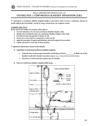 Image result for Continuous Bladder Irrigation