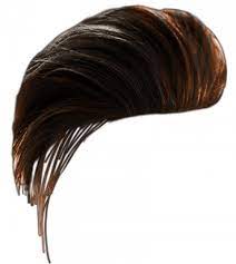 Hair Png Hd For Men Boys Hairstyle Editing Transparent Image Image Free Dowwnload Hair Png Download Hair Photoshop Hair