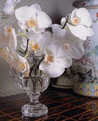 Orchids Flower Arrangements Beautiful Flowers Vase Crafts