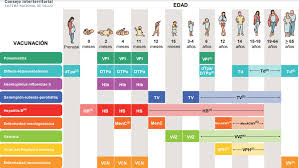 6 de septiembre de 2021. Calendario Vacunacion 2020 Las Edades Recomendadas Por Sanidad Para Vacunarse