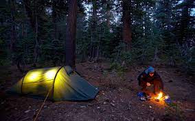 Sequoia And Kings National Parks California From The Woods Of Maine To The Sandy Beaches California Camping Acadia National Park Camping Best Places To Camp