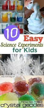 Science Projects For Kids Easy Home Fun Diy Mylistoflists Com Easy Science Projects Science Experiments Kids Science Projects For Kids