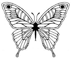We did not find results for: Butterfly Wing Drawing Butterfly Sketch Sketch Tattoo Design Wings Drawing