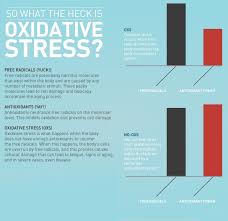 What Does Oxidative Stress Mean Http Oxidativestressfree Org Lifevantage Stress And Health Oxidative Stress