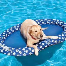 swimways paddle paws dog spring float large dog pool dog pool floats pool toys