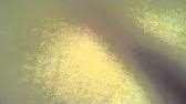 Image result for FIX University UPI newsRus