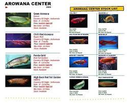 Sell Arowana Super Red Etc Id 8288089 Ec21