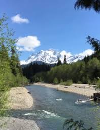 The river begins spilling over its banks into low pasture lands flooding some roadways that are not protected by levees including marine drive and ferndale road. A Visual Journey Of The Proposed Nooksack Wild Scenic River American Rivers