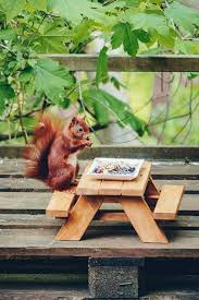 Diy Picknicktisch Fur Eichhornchen Anleitung Selbstgebaute Futterstelle Vogelfutterhaus Selber Bauen Selber Bauen Einfach Selber Bauen
