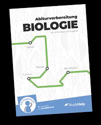 Maybe you would like to learn more about one of these? Die Proteinbiosynthese Studyhelp Online Lernen