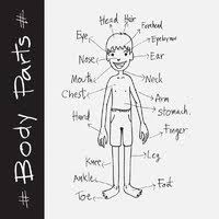 Coloring pages for body part are available below. Parts Of The Human Body Coloring Pages Surfnetkids