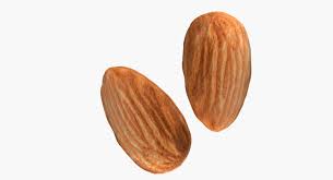 3d Model Almond Nut Food Nutshell Kernel Seed Fruit Snack Nutmeat Amande Groundnut Ingredients Cooking 3d Model 3dmodel 3d Model Model Almond