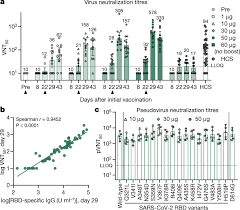 After testing the vaccine on monkeys, cellid entered into a partnership with the south korean chemical manufacturer lg chem to manufacture the vaccine. Covid 19 Vaccine Bnt162b1 Elicits Human Antibody And T H 1 T Cell Responses Nature