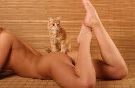 Nude kittens - 61 photos