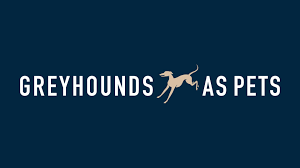 So, this may not be the best breed. Greyhounds As Pets Nz é¢†è‹±