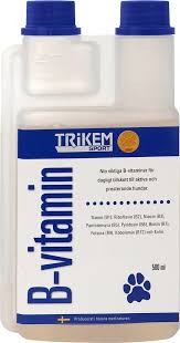 B Vitamin Hund Trikem I 2020 Hundar Vitamin Hundbaddar
