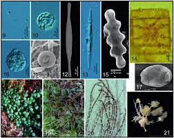 la investigacion....indb