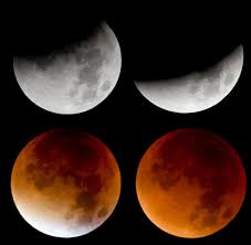 Ein sanfter weg zum gesundwerden und gesundbleiben von mensch und natur. Mondfinsternis So Wie Heute Abend Sehen Sie Den Mond Nie Wieder Welt