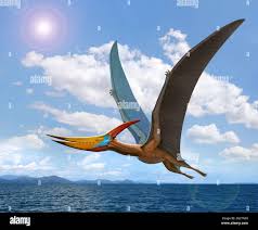 Image result for Pteranodon