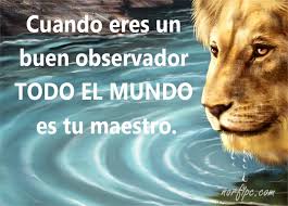 Frases de oro sabias de la vida cortas para reflexionar