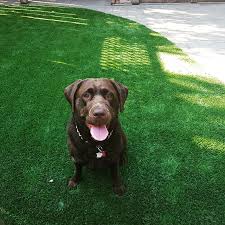 Check spelling or type a new query. Turf S Up Canada S Premier Artificial Grass And Super Court Company