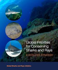 New global strategy to save sharks and rays
