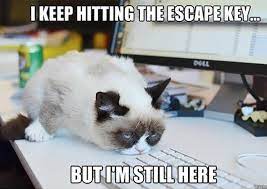 Tuesday work memes to slightly improve your miserable day. 40 Funny Memes About Work That You Shouldn T Be Reading At Work Bored Panda