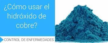 Cupric hydroxide is a strong base, although its low solubility in water makes this hard to observe. Como Usar El Hidroxido De Cobre Antes Todo Esto Era Campo