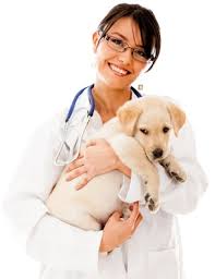 Benché ancora non siano state individuate delle cause ben precise per la comparsa dell'ernia iatale, sono stati analizzati una serie di fattori che influiscono in modo determinante su questa patologia: Quale Alimentazione Per Cane Con Ernia Iatale